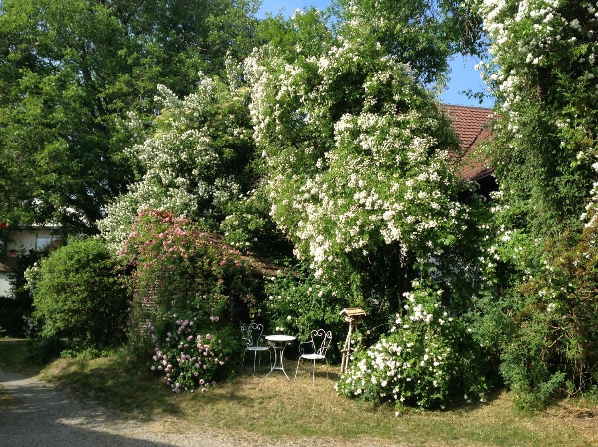 Landloft Haus Probst Apartment Schondorf am Ammersee Exterior photo